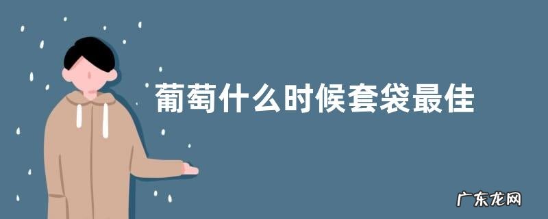 葡萄什么时候套袋最佳 正确的套袋方法