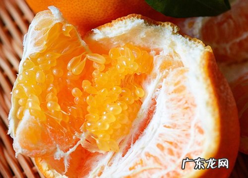 橘子吃多了会上火吗