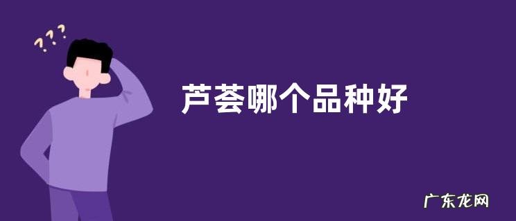 芦荟哪个品种好