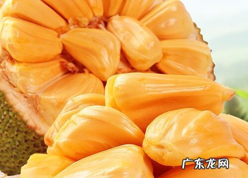 菠萝蜜怎么保存时间长