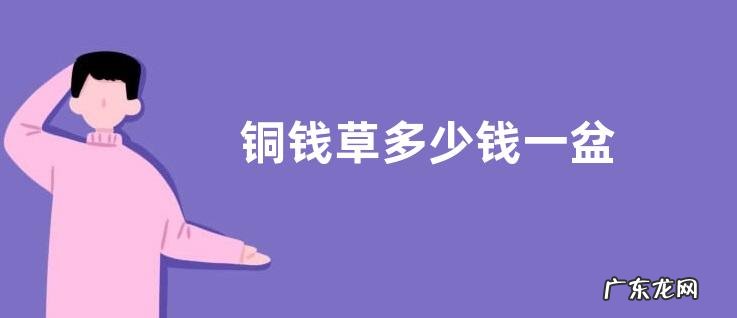 铜钱草多少钱一盆