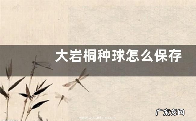 大岩桐种球怎么保存