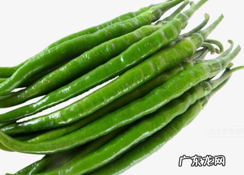 线椒怎么留种子 线椒种子怎么处理能种出来