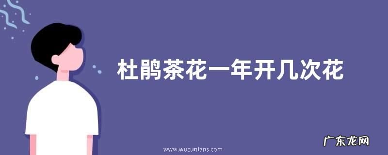 杜鹃茶花一年开几次花