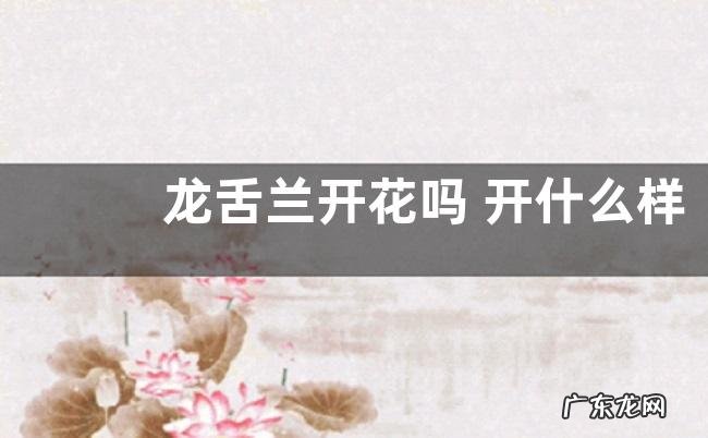 龙舌兰开花吗 开什么样的花