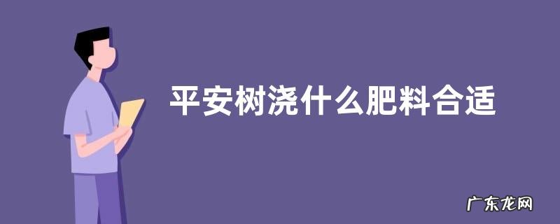 平安树浇什么肥料合适