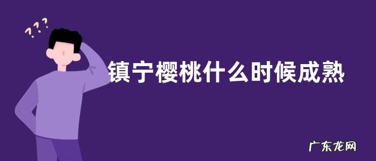 镇宁樱桃什么时候成熟