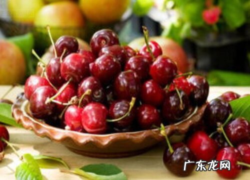 镇宁樱桃什么时候成熟