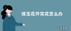 绯玉花开完花怎么办