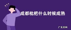成都枇杷什么时候成熟