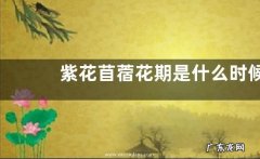 紫花苜蓿花期是什么时候