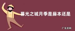 暮光之城月季是藤本还是灌木