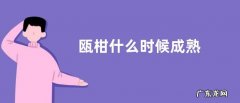 瓯柑什么时候成熟