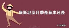 康斯坦茨月季是藤本还是灌木
