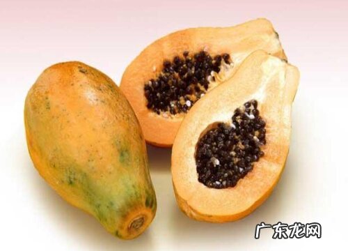 木瓜是转基因水果吗