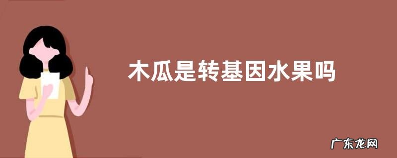 木瓜是转基因水果吗