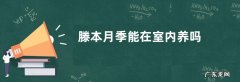 滕本月季能在室内养吗