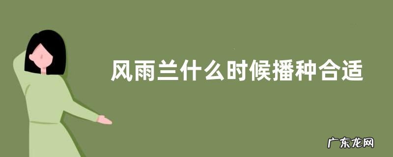 风雨兰什么时候播种合适