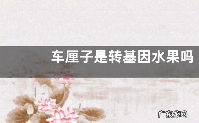 车厘子是转基因水果吗