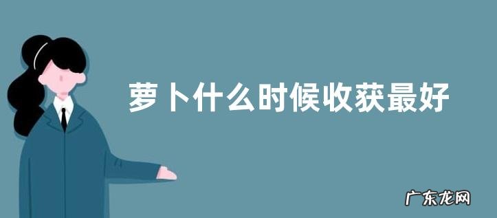 萝卜什么时候收获最好 上市时间