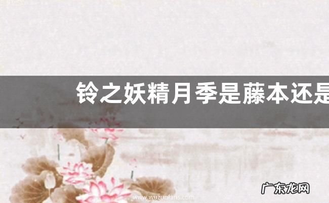 铃之妖精月季是藤本还是灌木