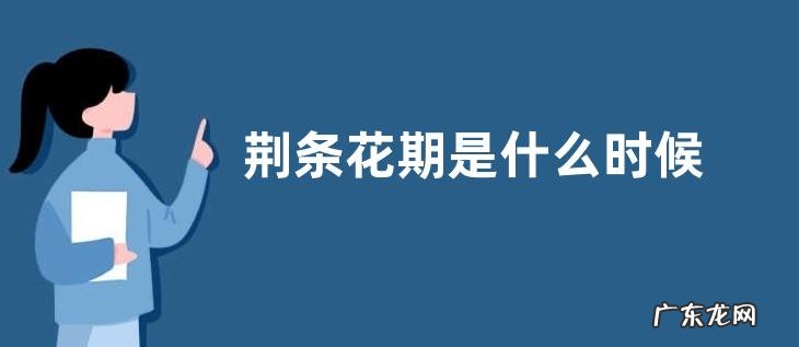 荆条花期是什么时候