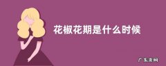 花椒花期是什么时候