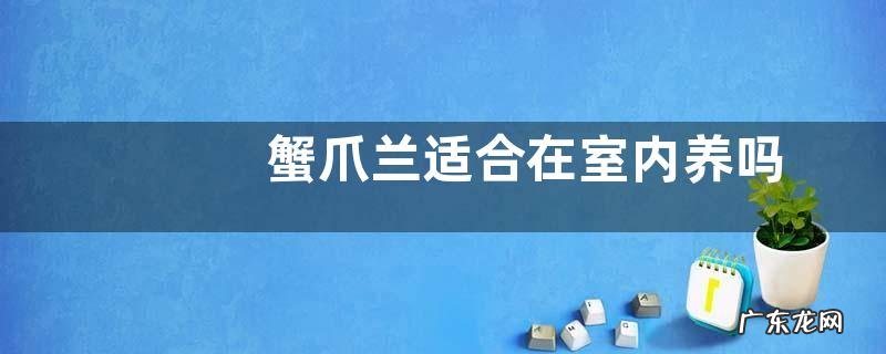 蟹爪兰适合在室内养吗