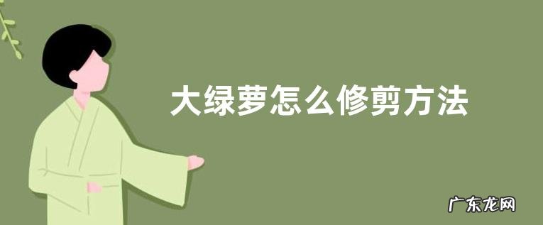 大绿萝怎么修剪方法