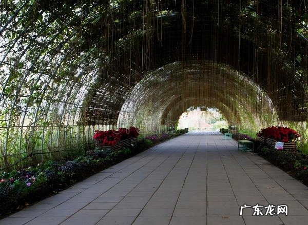 清华贫困生的“树洞”刷屏省钱资助4名孩子感动网友