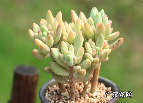 婴儿手指怎么度夏安全