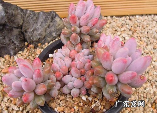 婴儿手指怎么度夏安全