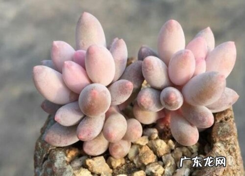 婴儿手指怎么度夏安全