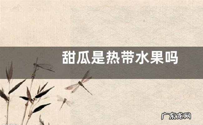 甜瓜是热带水果吗