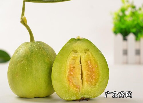 甜瓜是热带水果吗