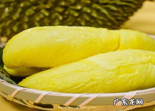 榴莲是热带水果吗