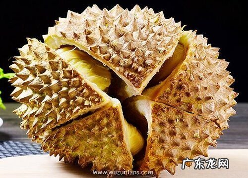 榴莲是热带水果吗