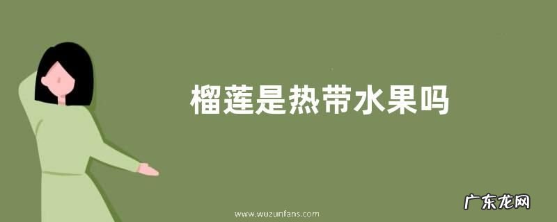榴莲是热带水果吗