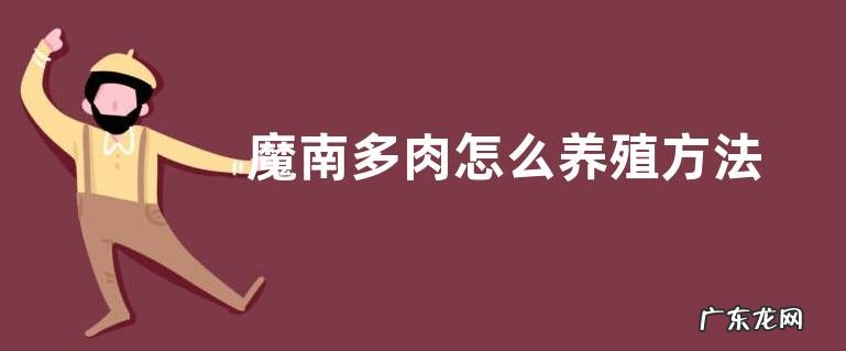 魔南多肉怎么养殖方法