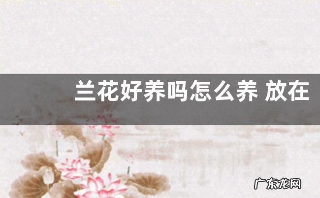 兰花好养吗怎么养 放在家里好养活吗