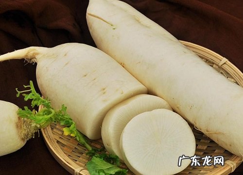 白萝卜几月份种合适