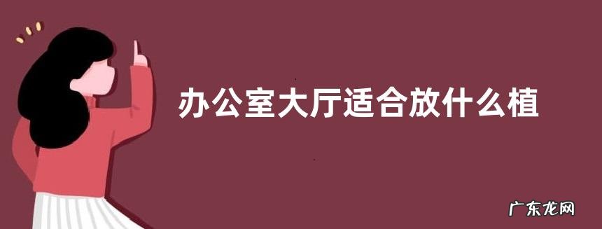 办公室大厅适合放什么植物