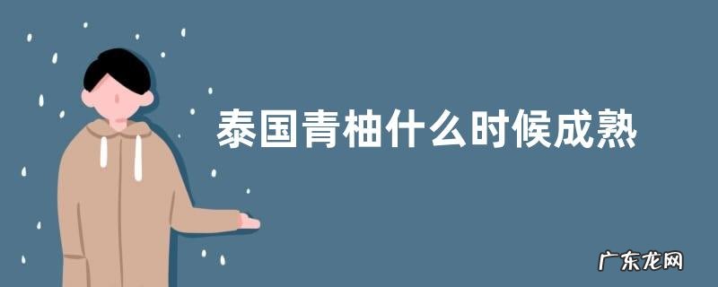 泰国青柚什么时候成熟