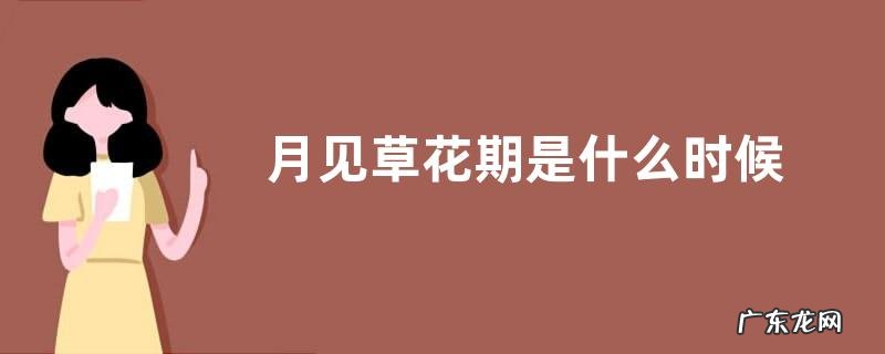 月见草花期是什么时候