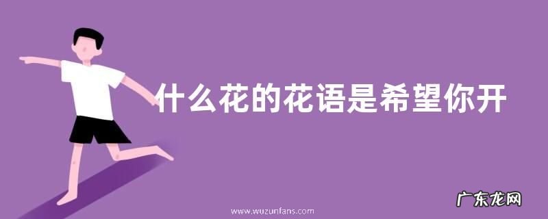 什么花的花语是希望你开心