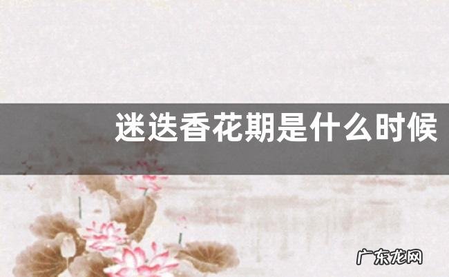 迷迭香花期是什么时候