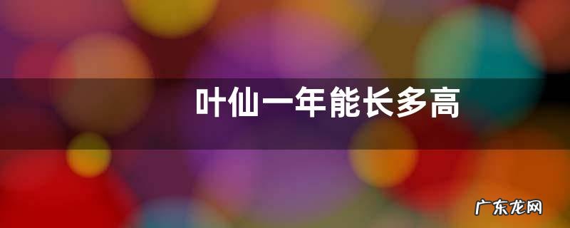叶仙一年能长多高
