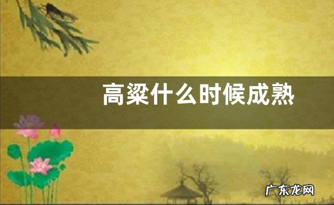 高粱什么时候成熟