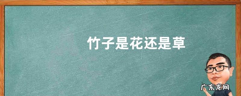 竹子是花还是草