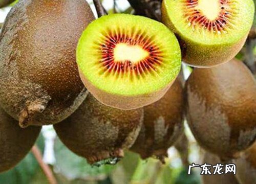 弥猴桃什么时候成熟